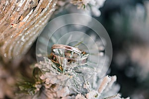 Chritmas wedding rings