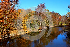 Chromatic Creek Views of Fall