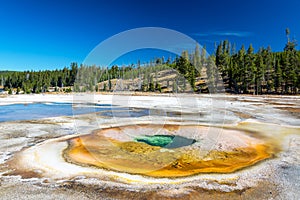 Chromatic Pool Landscape View