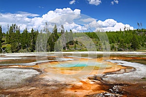 Chromatic Pool of Yellowstone photo