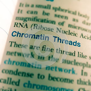 chromatin threads human body related word displayed on paper abstract background photo