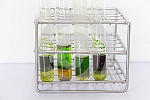 Chromatography is used to separate components of a plant.