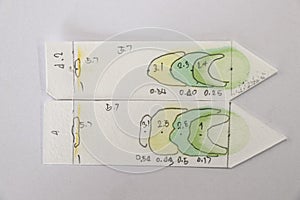 Chromatography is used to separate components of a plant.