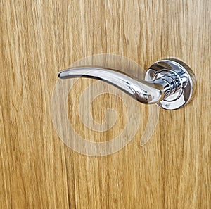 Chrome door handle