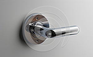 Chrome door handle on white door