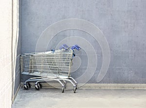 Chrome shopping carts