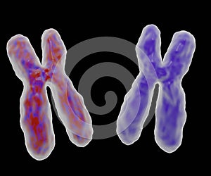 chromosomal disorder or abnormalities