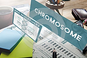 Chromosome DNA Molecules Science Experiment Concept