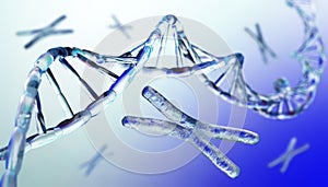 Chromosome, DNA photo