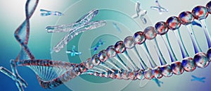 Chromosome, DNA photo