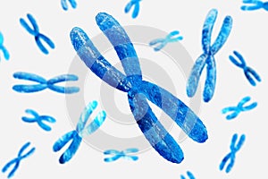 Chromosome. DNA spiral. Genome