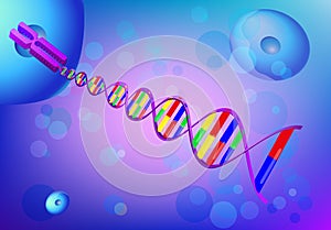 Chromosome and DNA. Vector background