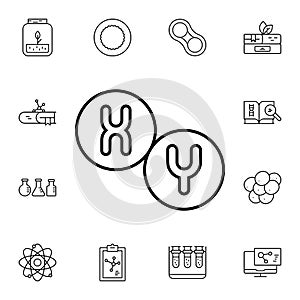 Chromosome flat vector icon in biology pack