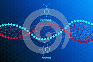 Chromosome spiral DNA