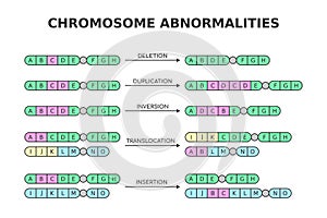 Chromosomal abnormalities. Deletion, duplication, inversion, translocation, insertion.