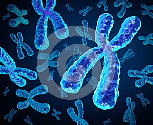 Chromosomes photo