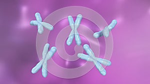 Chromosomes photo