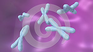 Chromosomes photo