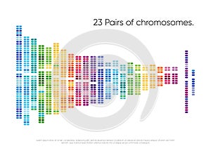 Chromosomes pairs. Structure of DNA genome set