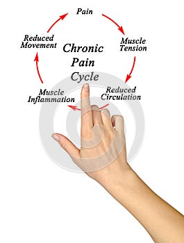 Chronic Pain Cycle