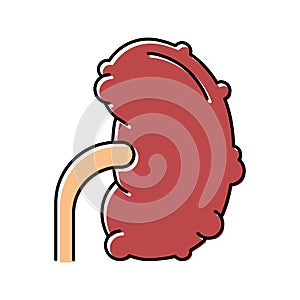 chronic pyelonephritis color icon vector illustration