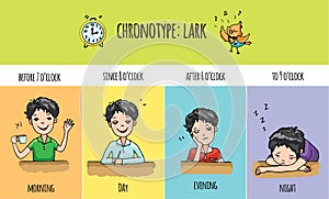 Chronotype of people: lark.