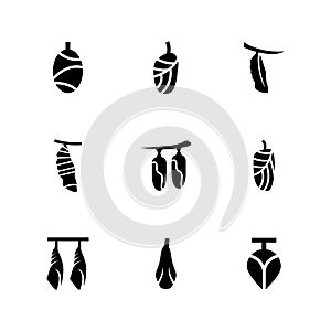 Chrysalis  icon or logo isolated sign symbol vector illustration