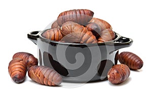 Chrysalis silkworm ,silk worm cocoon