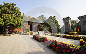 Chrysanthemum bloom in ancient buildings in Henan, China