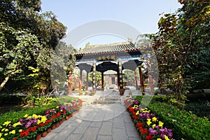 Chrysanthemum bloom in ancient buildings in Henan, China