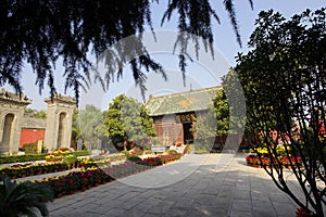 Chrysanthemum bloom in ancient buildings in Henan, China