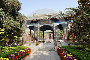 Chrysanthemum bloom in ancient buildings in Henan, China