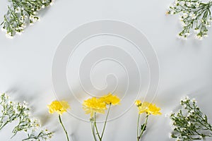 Chrysanthemum and cutter flowers composition. Pattern and Frame made of various yellow or orange flowers and green leaves on white