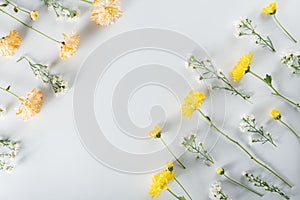Chrysanthemum and cutter flowers composition. Pattern and Frame made of various yellow or orange flowers and green leaves on white