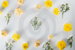 Chrysanthemum and cutter flowers composition. Pattern and Frame made of various yellow or orange flowers and green leaves on white