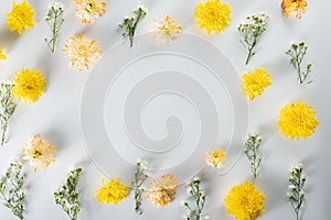 Chrysanthemum and cutter flowers composition. Pattern and Frame made of various yellow or orange flowers and green leaves on white