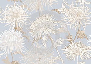 Chrysanthemum decorative flowers