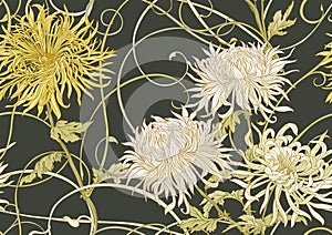 Chrysanthemum decorative flowers