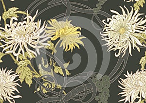 Chrysanthemum decorative flowers