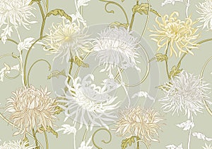 Chrysanthemum decorative flowers