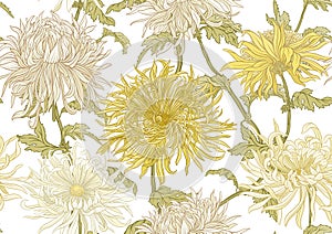 Chrysanthemum decorative flowers