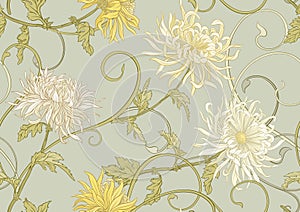 Chrysanthemum decorative flowers