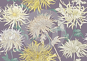 Chrysanthemum decorative flowers