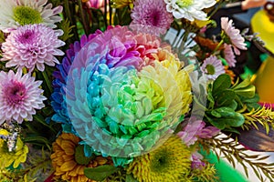 Chrysanthemum Flower arrangement. Beautiful, vivid, colorful mixed flower bouquet still life detail