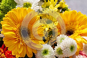 Chrysanthemum Flower arrangement. Beautiful, vivid, colorful mixed flower bouquet still life detail