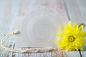 Chrysanthemum flower with blank card
