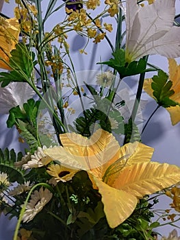 Chrysanthemum flower