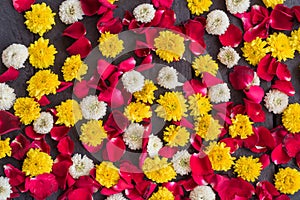 Chrysanthemum flower and Red petal roses
