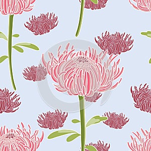 Chrysanthemum flowers seamless vector pattern