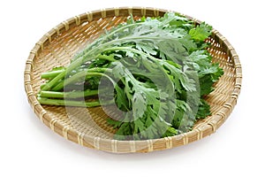 Chrysanthemum greens